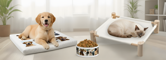 πΎ Personalized Comfort for Your Pets: Sublimation Blank Pet Pads & Beds