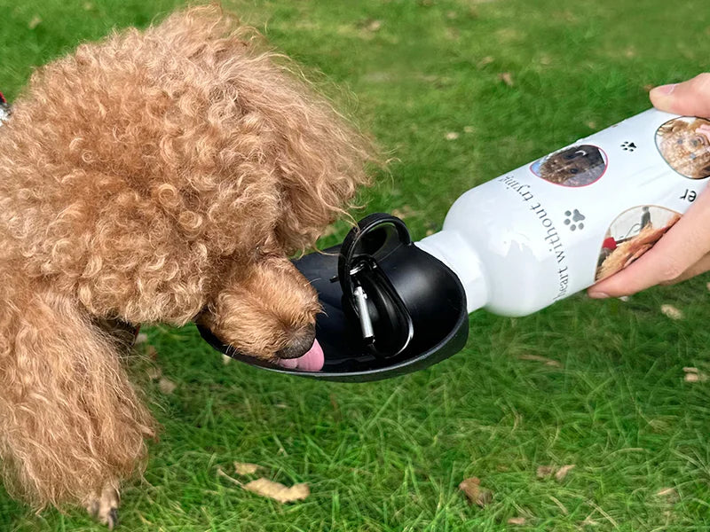 Sublimation Blanks 20oz/600ml Silver Stainless Steel Portable Pet Water Bottle Dispenser