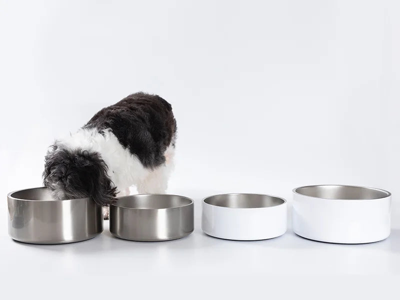 42oz/1250ml Sublimation Blank Stainless Steel Dog Bowl (White)
