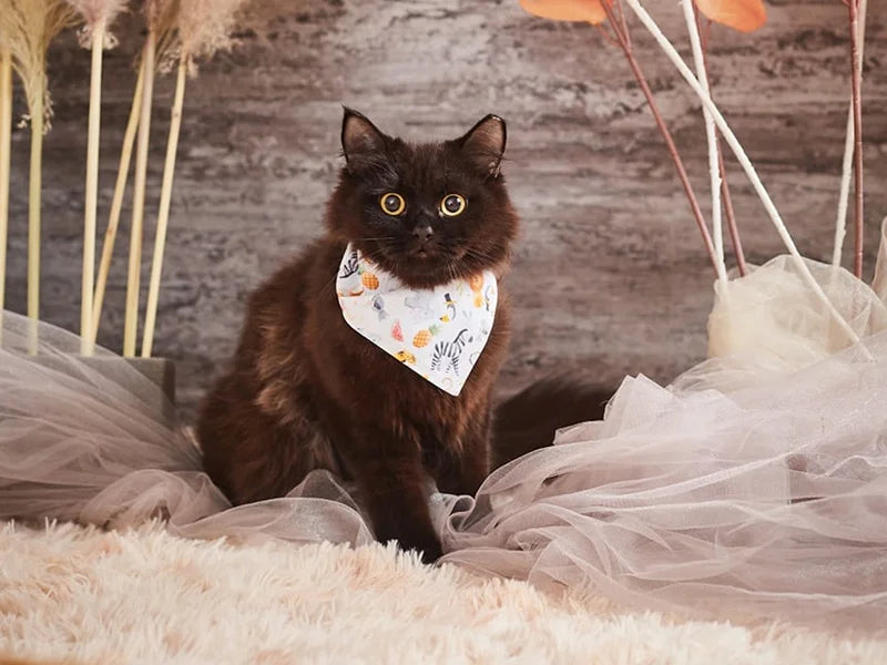 Sublimation Blanks Pet Bandana (S)