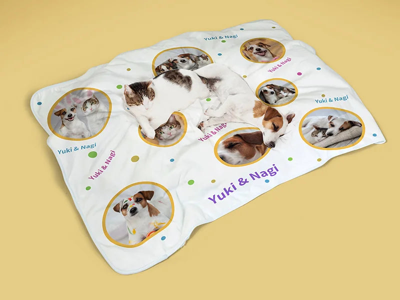 Arctic Fleece Lined Sublimation Blanks Microfiber Pet Blanket (127*152cm/50inchx59.8inch)