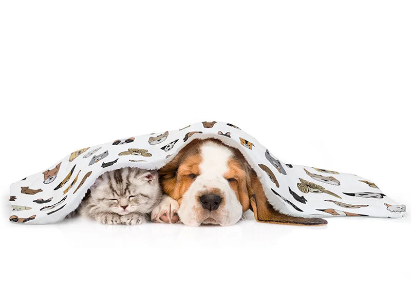 Arctic Fleece Lined Sublimation Blanks Microfiber Pet Blanket (101*127cm/39.76inchx50inch)
