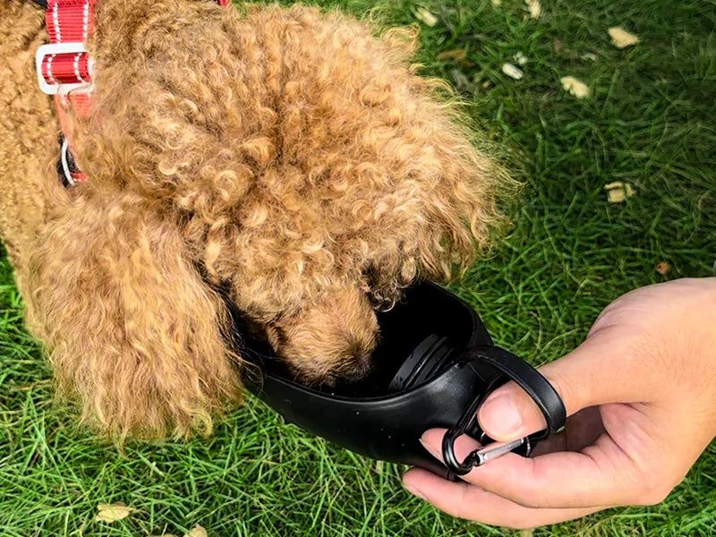 Blue Silicon Pet Drinking Water Dispenser Lid (Suitable for BW19 Cola Bottle)