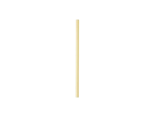 20cm Straight Yellow Glass Straw