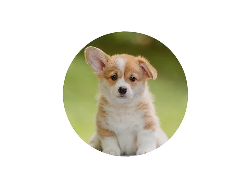 Sublimation Plastic Fridge Magnet (Round, φ6.3cm)