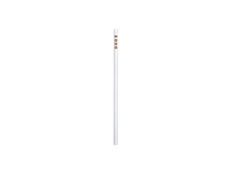 Sublimation Blank Reusable Stainless Steel Straw (φ1.2cm)
